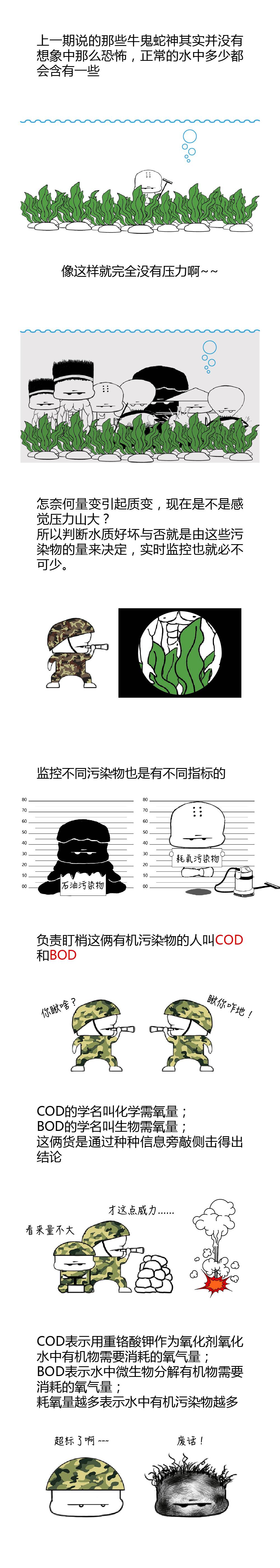 COD、BOD、TP、TN最接地氣的解釋